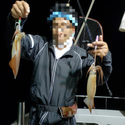 シーライオン 釣果