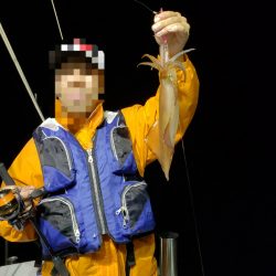 シーライオン 釣果