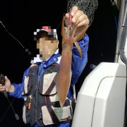 シーライオン 釣果