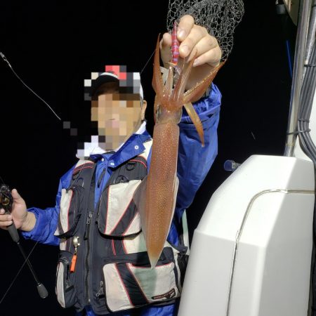 シーライオン 釣果