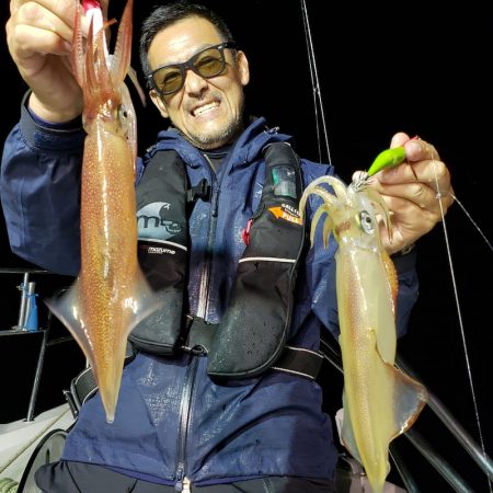 シーライオン 釣果