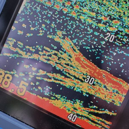 サンマリン 釣果