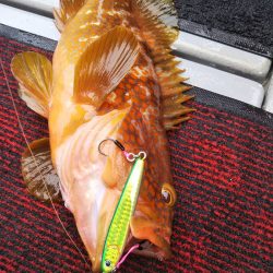 光生丸 釣果