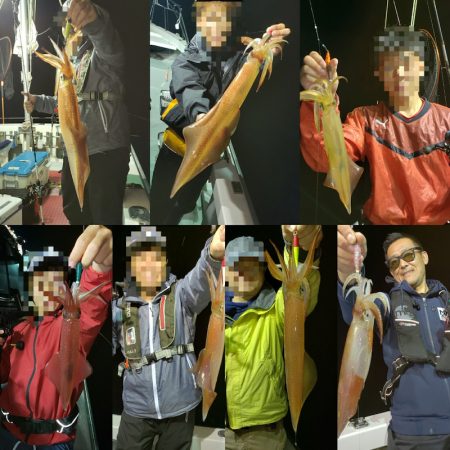 シーライオン 釣果