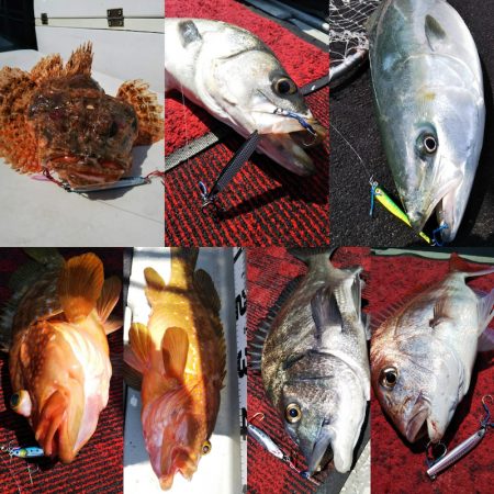 光生丸 釣果
