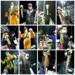 シーライオン 釣果