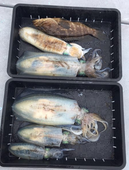 渡船屋たにぐち 釣果