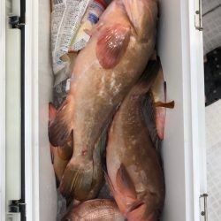 フィッシング キッタカ 釣果