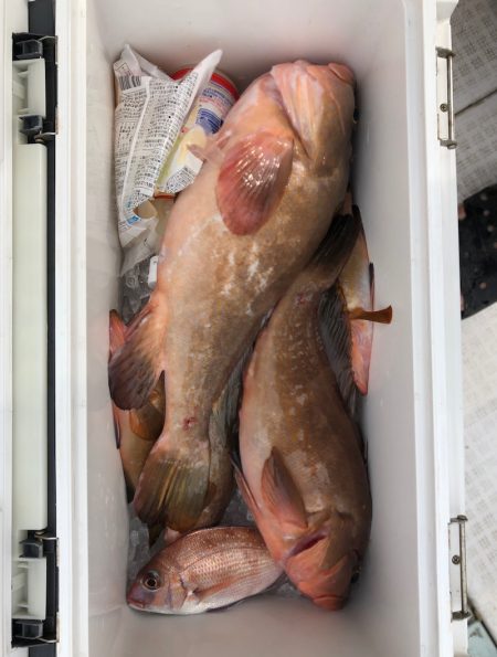 フィッシング キッタカ 釣果