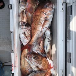 フィッシング キッタカ 釣果