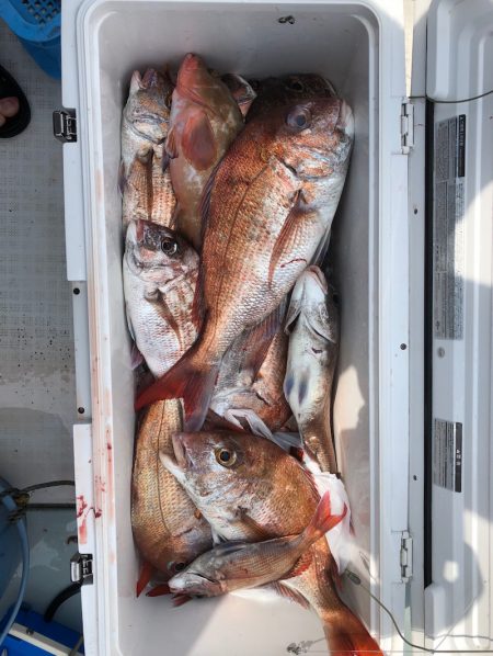 フィッシング キッタカ 釣果