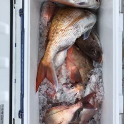 フィッシング　キッタカ 釣果