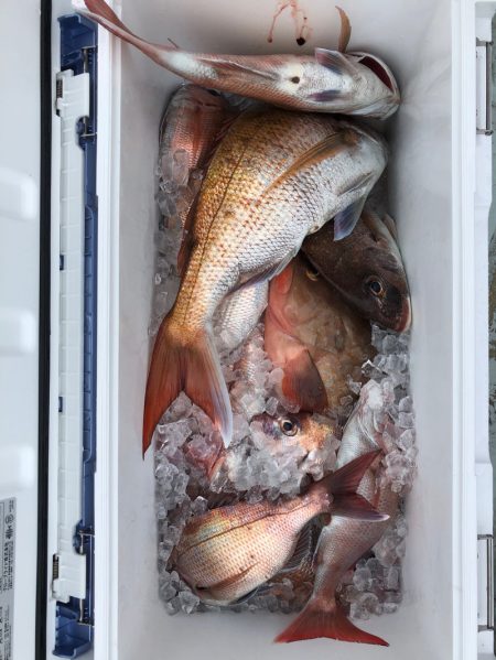 フィッシング　キッタカ 釣果