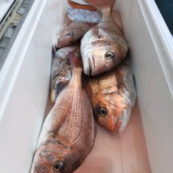 第二八坂丸 釣果