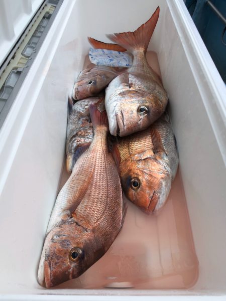 第二八坂丸 釣果