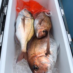 第二八坂丸 釣果