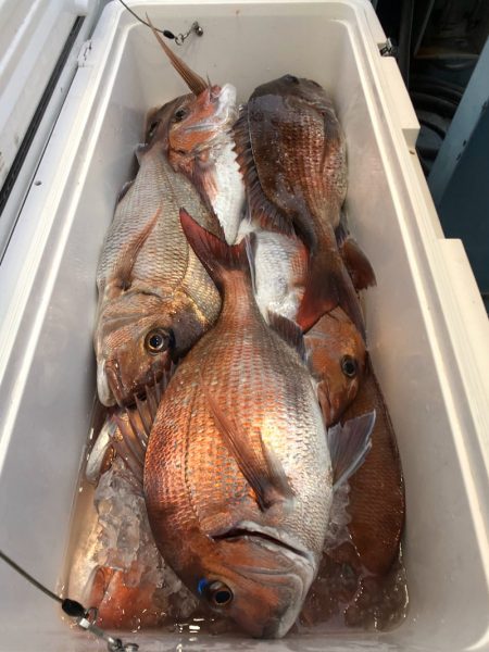 第二八坂丸 釣果