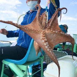 ヤザワ渡船 釣果