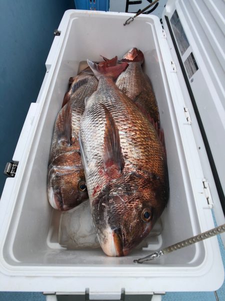 第二八坂丸 釣果