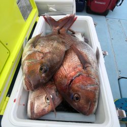 第二八坂丸 釣果