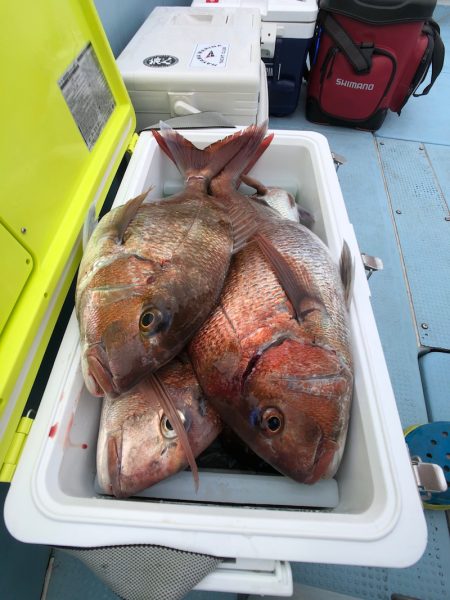 第二八坂丸 釣果