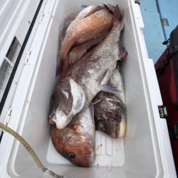 第二八坂丸 釣果