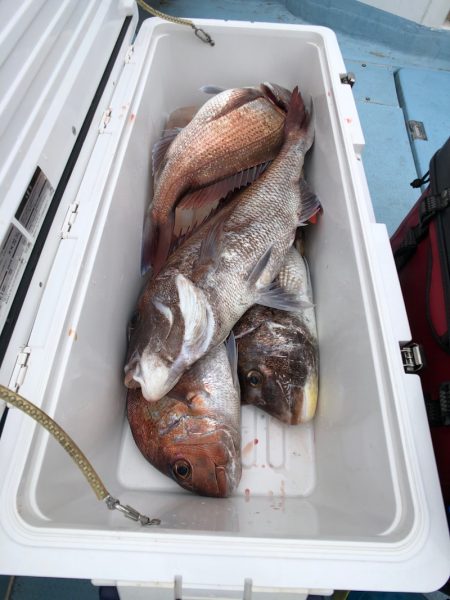 第二八坂丸 釣果