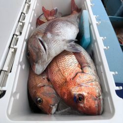 第二八坂丸 釣果