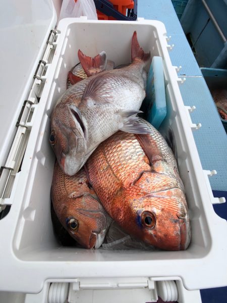 第二八坂丸 釣果