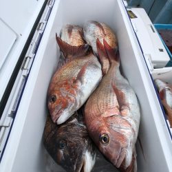 第二八坂丸 釣果