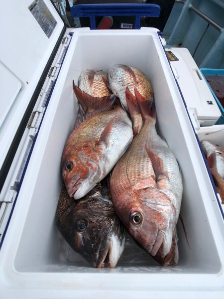 第二八坂丸 釣果