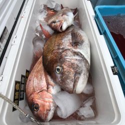 第二八坂丸 釣果