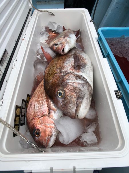 第二八坂丸 釣果