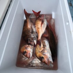 第二八坂丸 釣果