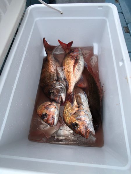 第二八坂丸 釣果