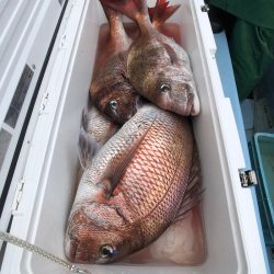 第二八坂丸 釣果