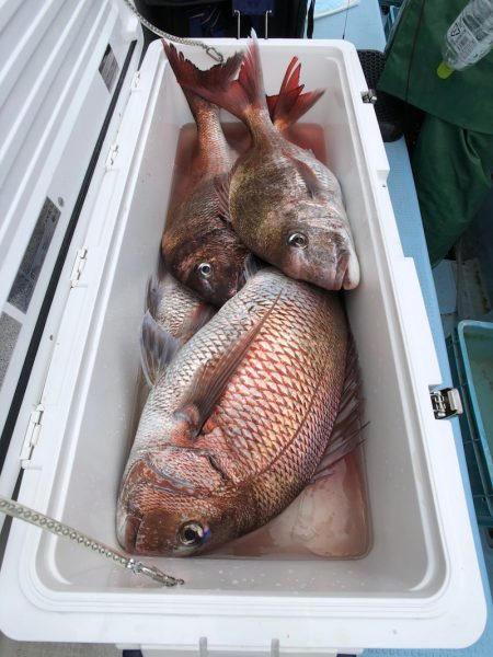 第二八坂丸 釣果