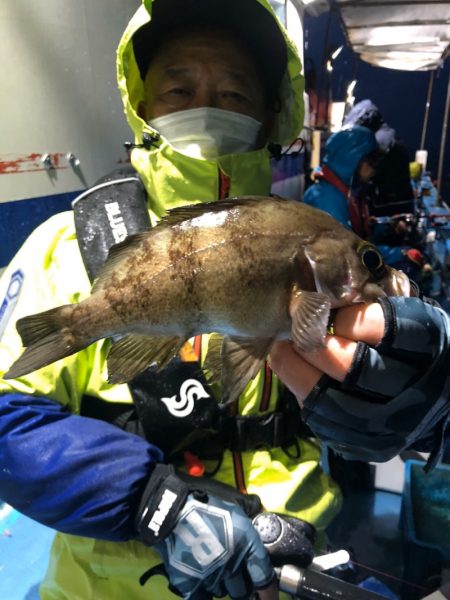 ヤザワ渡船 釣果