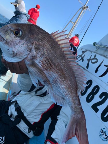 みやけ丸 釣果