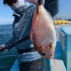 みやけ丸 釣果