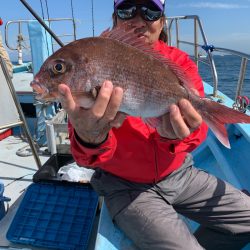 みやけ丸 釣果