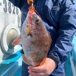 みやけ丸 釣果