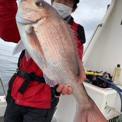 エヌスタイル 釣果