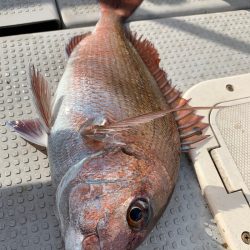 エヌスタイル 釣果