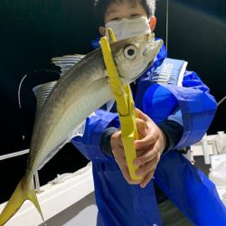 エヌスタイル 釣果