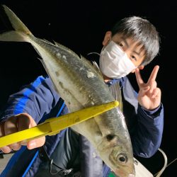 エヌスタイル 釣果