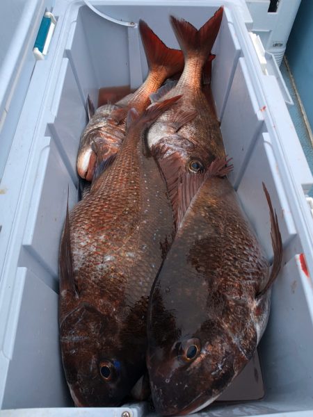 第二八坂丸 釣果