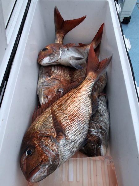 第二八坂丸 釣果