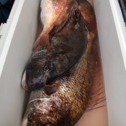 第二八坂丸 釣果