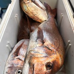 第二八坂丸 釣果